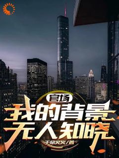官场：我的背景无人知晓徐天来刘阳大结局小说全章节阅读