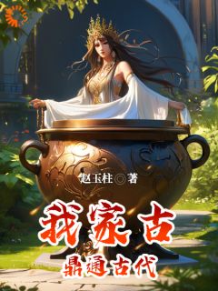 赵玉柱林婉小说我家古鼎通古代免费阅读