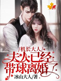 机长大人，夫人已经带球离婚了！苏以棠顾斯南全本小说（机长大人，夫人已经带球离婚了！）全章节小说目录阅读