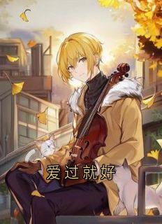 值得熬夜看完的爱过就好小说阅读
