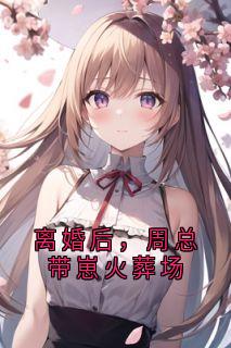 主角周宇琛司婳小说完整版-离婚后，周总带崽火葬场免费阅读全文-暗夜阅读网