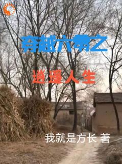 穿越六零之逍遥人生小说在线阅读，主角陈斌柳莲精彩段落最新篇