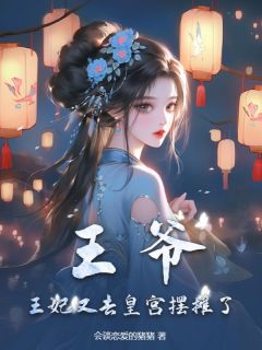 老书虫力荐王爷，王妃又去皇宫摆摊了免费无弹窗阅读