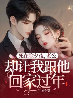 死在除夕夜，老公却让我跟他回家过年小说(连载文)-阮如意陈忘州无广告阅读