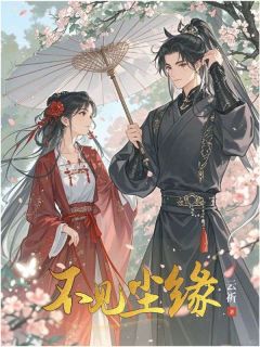 不见尘缘小说(完结)-苏慕歌陆川野章节阅读