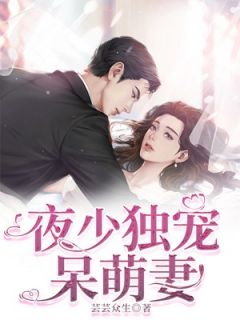 独家夜少独宠呆萌妻全本大结局小说阅读