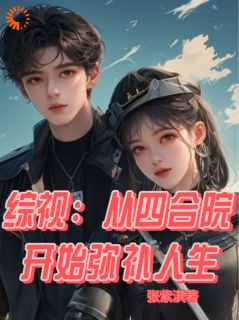 综视：从四合院开始弥补人生小说(连载文)-曹几何何雨柱无广告阅读