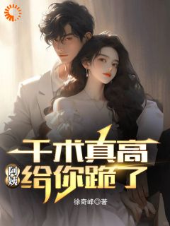 完整版千术真高，阿姨给你跪了董航林婵小说免费在线阅读