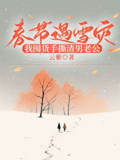 春节遇雪灾，我囤货手撕渣男老公(嘉静志诚)最新章节-暗夜阅读网
