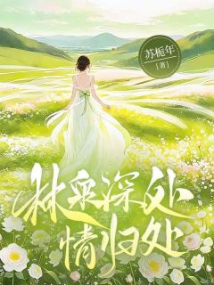 林泉深处情归处白绵傅景泽-苏栀年小说