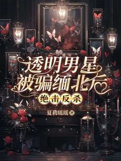 透明男星被骗缅北后，绝击反杀小说陈欣微李蕊免费阅读