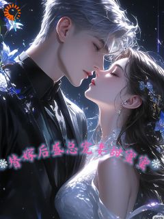 替嫁后，盛总宠妻甜蜜蜜叶璟心盛陌晨-小说未删减阅读
