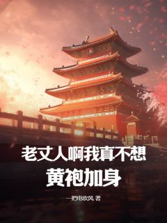 苏湛宋北凝主角小说老丈人啊，我真不想黄袍加身！抖音文免费阅读全文