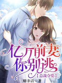 总裁夺爱：亿万前妻你别逃(沐蓝锦皇甫御)小说全章节目录阅读-暗夜阅读网