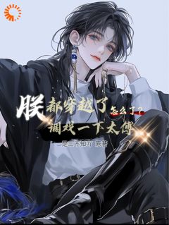 值得熬夜看完的朕都穿越了调戏一下太傅怎么了？小说阅读-暗夜阅读网