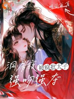 抖音小说洞房夜，疯批太子强吻强夺姜晚笙沈卿玦全文txt-暗夜阅读网