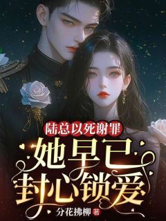 陆总以死谢罪，她早已封心锁爱(时烟陆子舰)小说全章节目录阅读