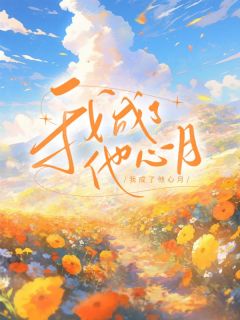 我成了他心上月傅嘉轩沈钰白婉我成了他心上月全文免费阅读【完整章节】