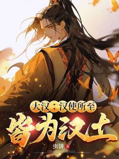 新书推荐大汉：汉使所至，皆为汉土！完整版小说-刘焱秦高忠最新章节阅读