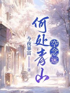 独家何处青山空念远小说-主角齐瑞堂宁晓冉全文免费阅读