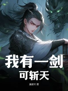 我有一剑可斩天小说(完整版)-叶寒州沈玉音章节阅读-暗夜阅读网