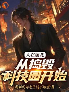 主角是韩潇吴焱的小说人在缅北，从捣毁科技园开始最完整版热门连载