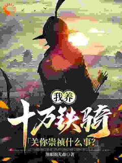 爆款小说我养十万铁骑，关你崇祯什么事？主角张璟川吴三桂全文在线完本阅读