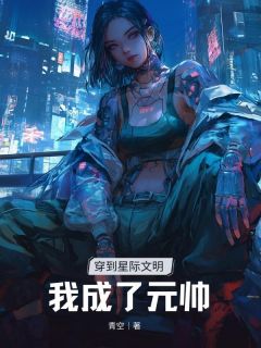 穿到星际⽂明我成了元帅无弹窗在线阅读
