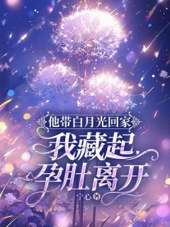 他带白月光回家，我藏起孕肚离开是什么小说顾染薄景程全本免费阅读