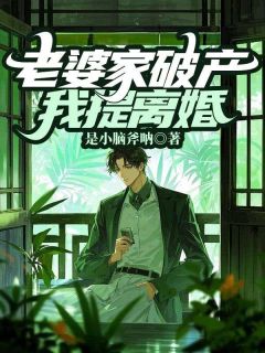 老婆家破产，我提离婚(李洋王曦妍)全文章节在线阅读