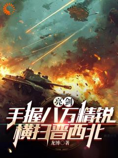 爆款小说亮剑：手握八万精锐，横扫晋西北-主角穆羽王胜在线阅读