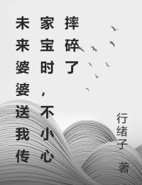 抖音未来婆婆送我传家宝时，不小心摔碎了txt小说阅读