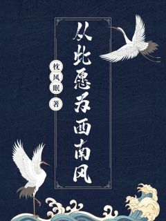 从此愿为西南风姜芮宋宇清小说_从此愿为西南风完结版阅读