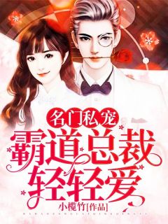抖音小说名门私宠：霸道总裁轻轻爱主角舒清顾盛钦全文小说免费阅读