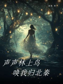 热文声声林上鸟，唤我归北秦小说-主角陈以声秦录宴全文在线阅读