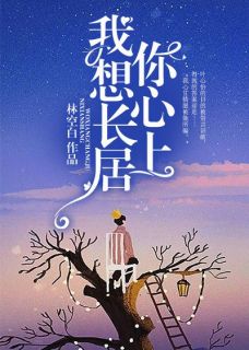 爆款小说由作者林空白所创作的我想长居你心上在线阅读