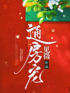 新上通房宠见微小说免费阅读-暗夜阅读网