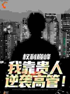 权利巅峰：我靠贵人逆袭高管！在哪免费看，陆小阳乔江波小说章节目录阅读