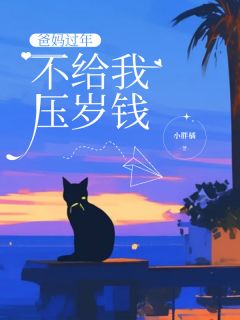 爆款小说爸妈过年不给我压岁钱在线阅读-沈蓉沈阳免费阅读