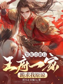 发配边疆后，王府一家跪求我原谅林渊林云娇大结局在线阅读-暗夜阅读网