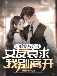 订婚宴被弃后，女友哀求我别离开在线阅读 林峰苏晚晴免费小说精彩章节-暗夜阅读网