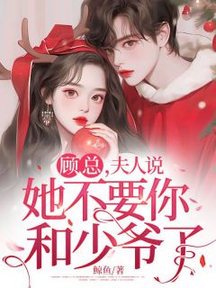 顾总，夫人说她不要你和少爷了许念顾云琛-小说txt全文阅读