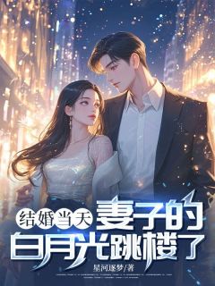 结婚当天，妻子的白月光跳楼了抖音全本小说沈慕寒白沙沙抖音免费章节阅读