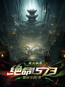 发丘秘录：绝命1573无弹窗在线阅读