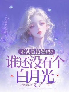 不就是抢婚吗？谁还没有个白月光祁晚路岑最新章节在线阅读-暗夜阅读网
