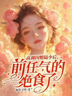高调闪婚陆少后，前任气的绝食了小说百度云完整章节列表免费阅读
