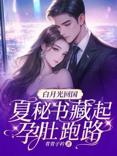 白月光回国，夏秘书藏起孕肚跑路夏弥司徒瑾小说_白月光回国，夏秘书藏起孕肚跑路完结版阅读