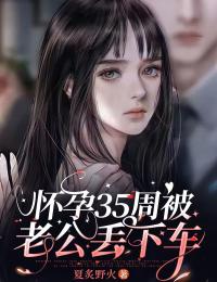 怀孕35周被老公丢下车无弹窗在线阅读-暗夜阅读网