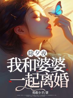 快手热文除夕夜，我和婆婆一起离婚陆安心李晋鹏小说推荐