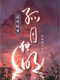 秋殇销梦，孤月独明无弹窗在线阅读